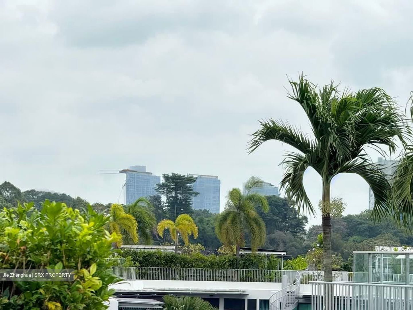 Belle Vue Residences (D9), Condominium #560593691